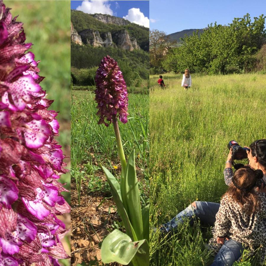 Gite La Cerise Qui Rit La Cresse Dış mekan fotoğraf