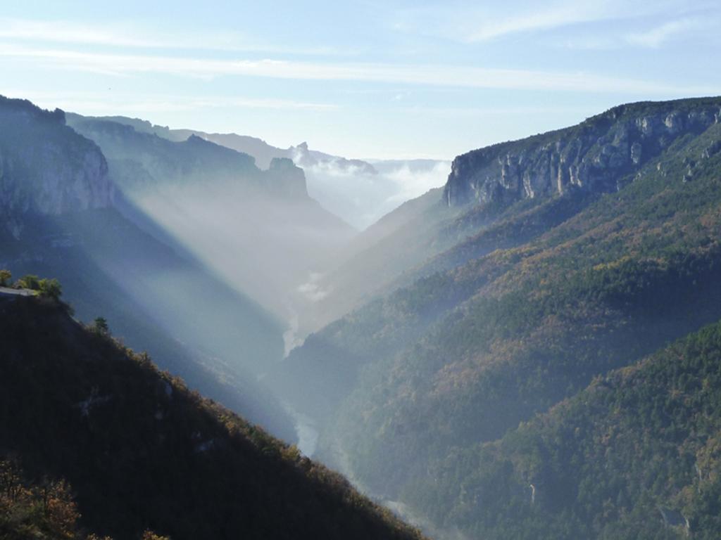 Gite La Cerise Qui Rit La Cresse Dış mekan fotoğraf