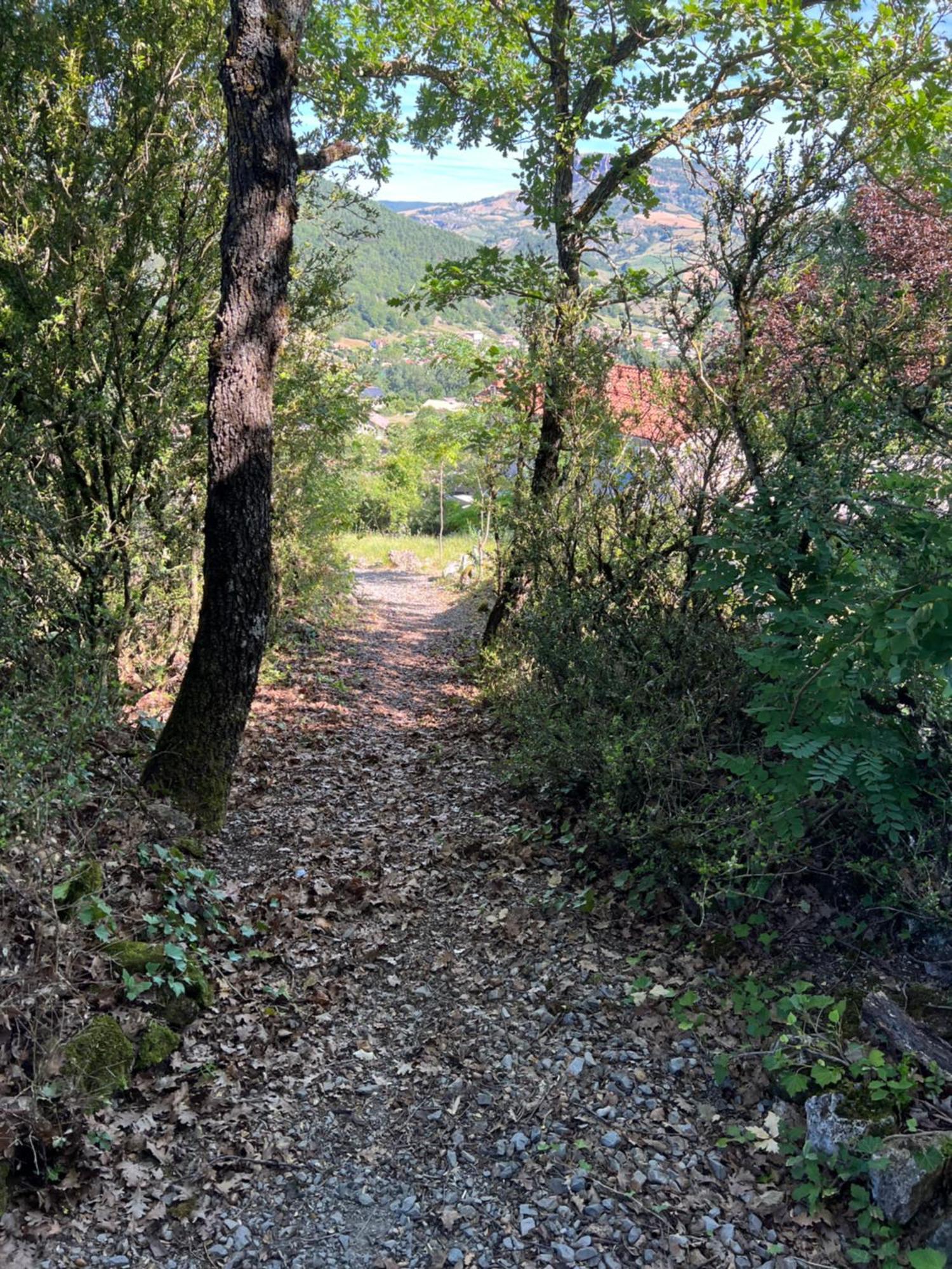 Gite La Cerise Qui Rit La Cresse Dış mekan fotoğraf