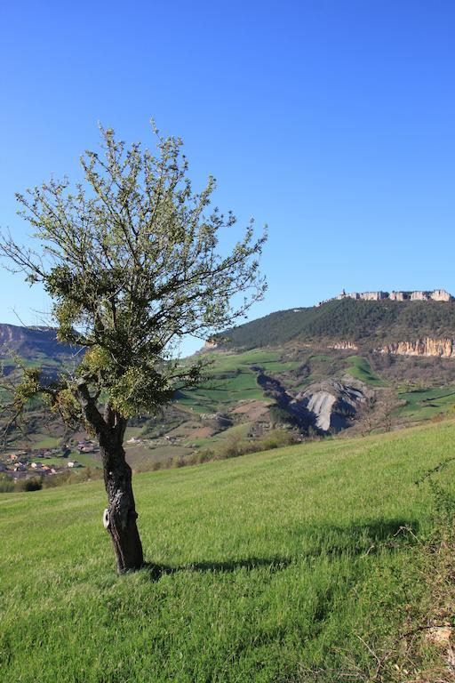 Gite La Cerise Qui Rit La Cresse Dış mekan fotoğraf